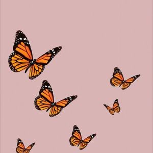 Meet your Posher, Natalia